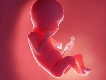 اختلالات جنینی