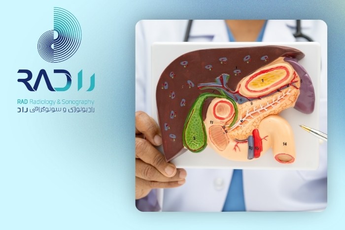 اهمیت بررسی سلامت کبد در بیماران دیابتی اهمیت بررسی سلامت کبد در بیماران دیابتی