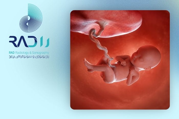 تأثیرات سونوگرافی مکرر در بارداری بر سلامت جنین