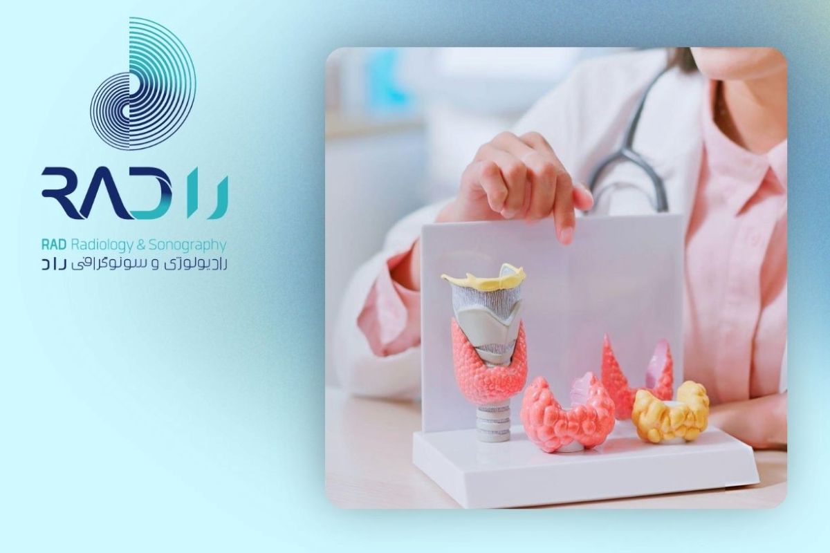 دقت الاستوگرافی تیروئید در تشخیص ندول بدخیم دقت الاستوگرافی تیروئید در تشخیص ندول بدخیم
