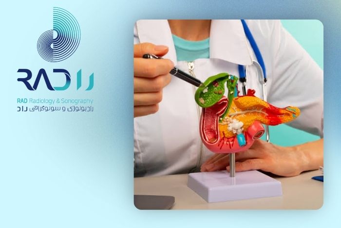 سنگ کیسه صفرا چه علائمی دارد؟ سنگ کیسه صفرا چه علائمی دارد؟