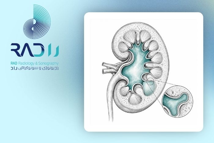 پیلکتازی کلیه جنین به چه علت ایجاد می‌شود؟